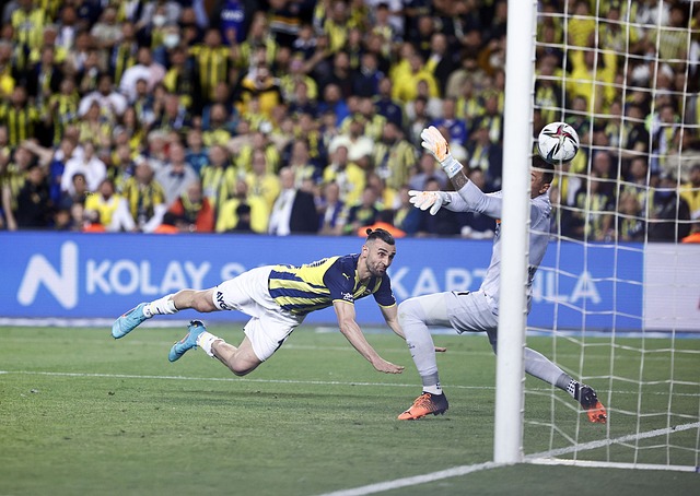 出色的互补 出色的互补