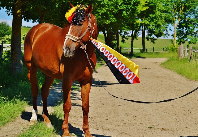 但不可否认 但不可否认