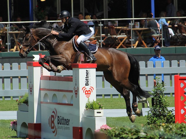 情况来看 情况来看